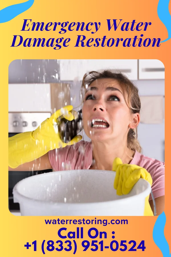 Emergency Water Damage Restoration in Anegam, AZ